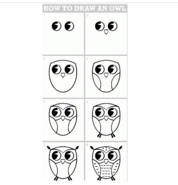 Пошаговое рисование Совы