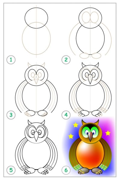 Сова рисунок карандашом поэтапно