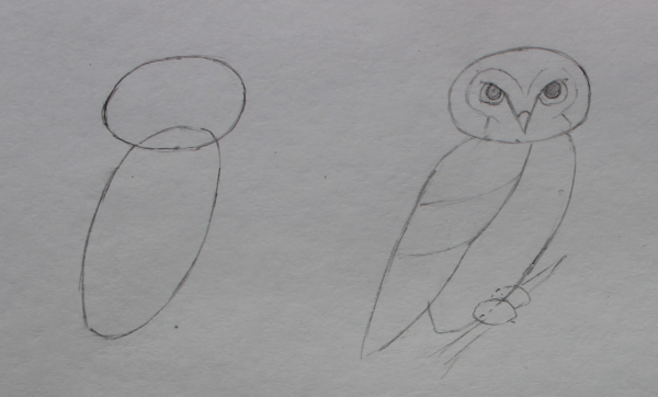 Легкая Сова для рисования