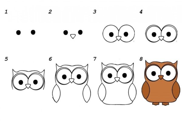 Как нарисовать сову поэтапно