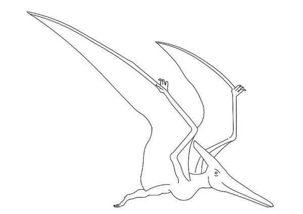 Птеродактиль контур