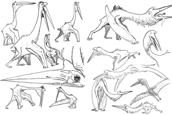 Птеранодон референс