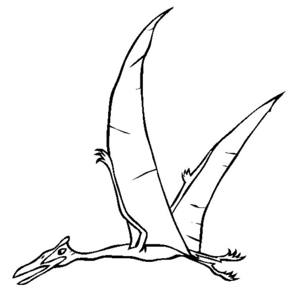 Кетцалькоатль Птерозавр рисунок