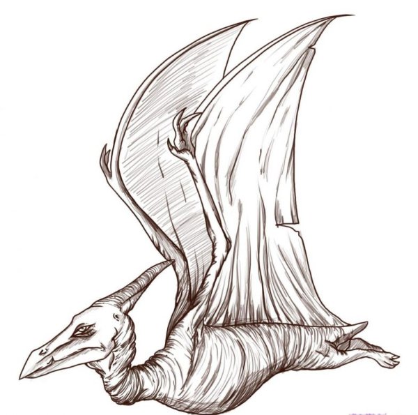 Птеродактиль скетч