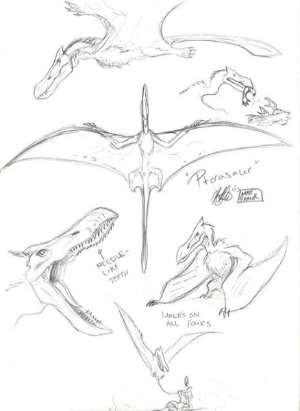 Летающий динозавр раскраска для детей