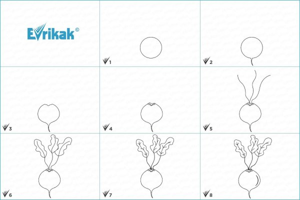 Свекла поэтапное рисование