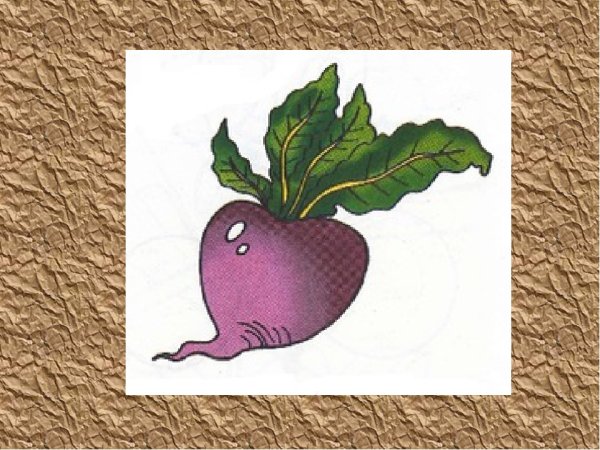 Интересное о свёкле