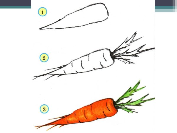 Поэтапное рисование овощей и фруктов