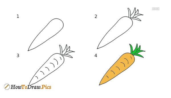 Поэтапное рисование моркови