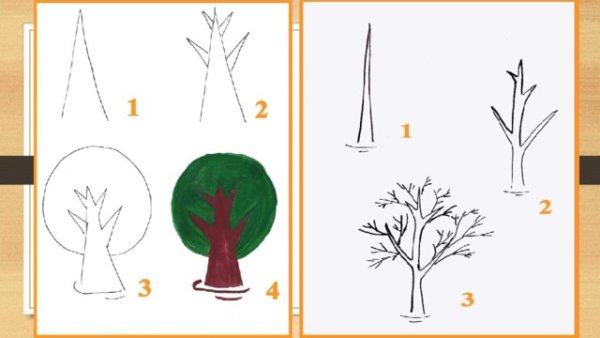 Рисование деревьев в старшей группе