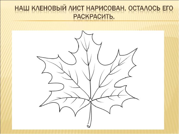 Лист клена схема
