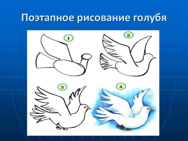 Голубь символ мира