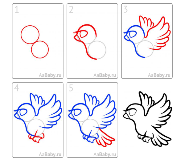 Как нарисовать голубя