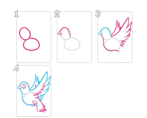 Поэтапное рисование голубя