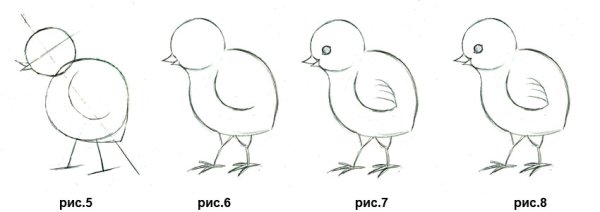 Рисование цыпленок