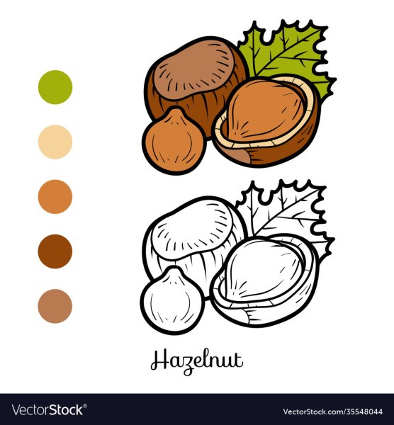 Фундук раскраска для детей