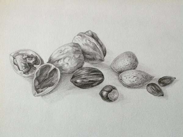 Орехи карандашом