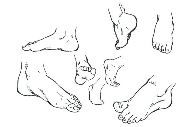 Ноги рисунок