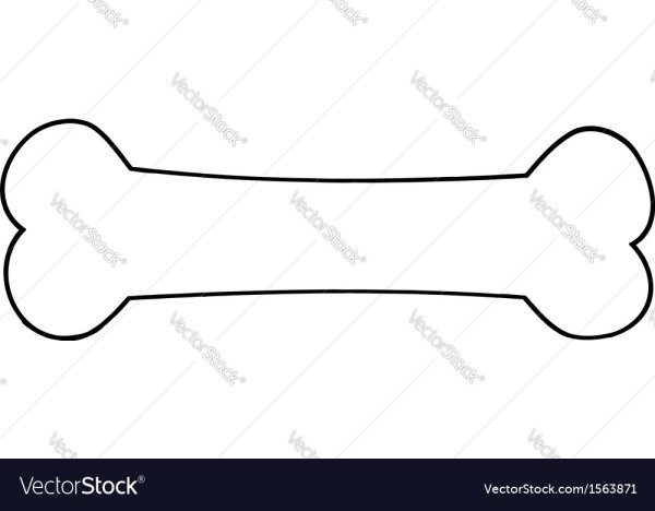 Косточка раскраска