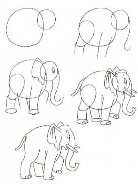 Нарисовать амонкас поэтапно