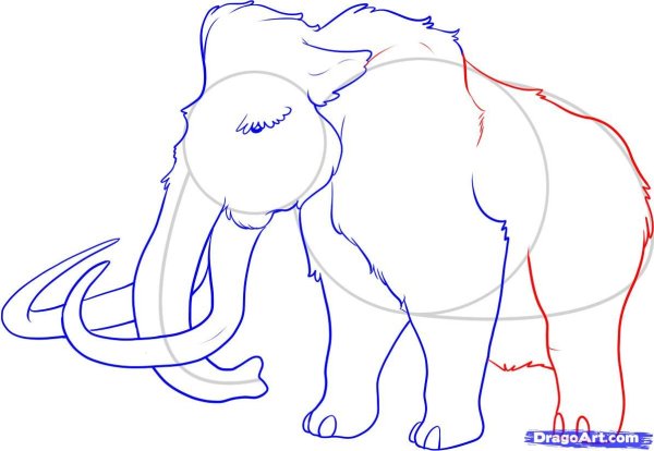 Рисование мамонта поэтапно