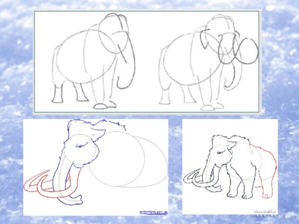 Мамонт карандашом легко