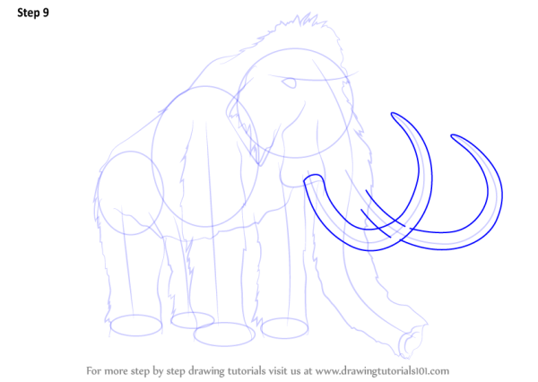 Поэтапное рисование мамонта для детей