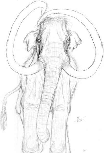 Нарисовать Ледниковый период