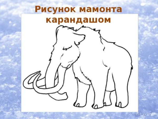 Мамонт рисунок поэтапно
