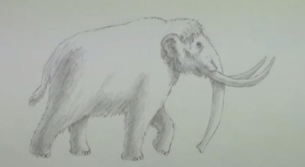 Мамонт по этапно