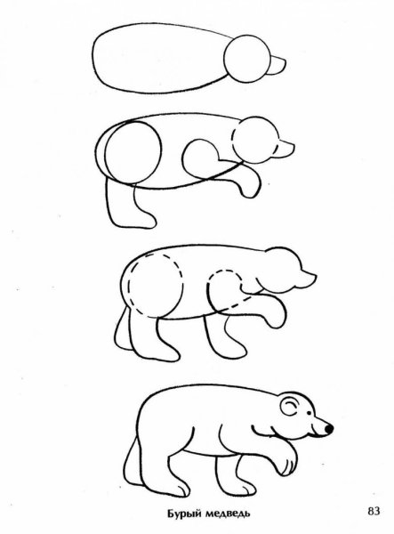 Схемы рисования животных для детей