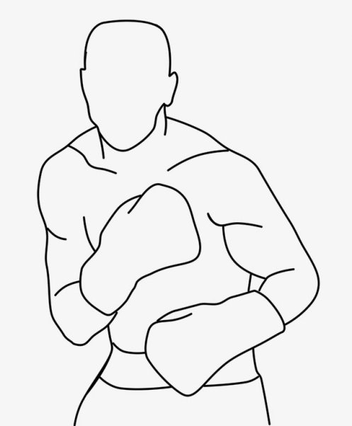 Боксер рисунок