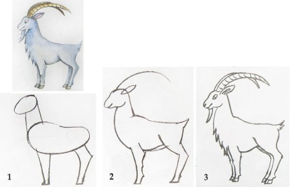 Козел поэтапное рисование