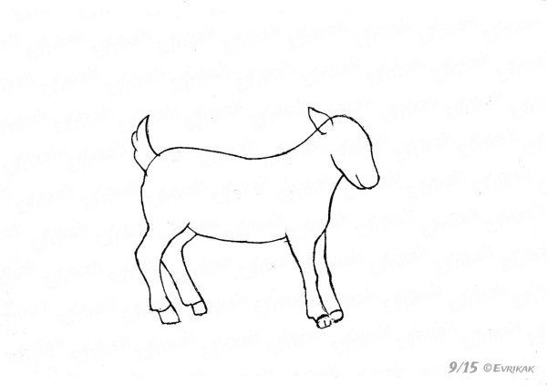 Рисование козленок старшая группа