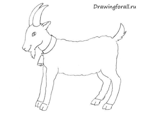 Поэтапное рисование козы для детей