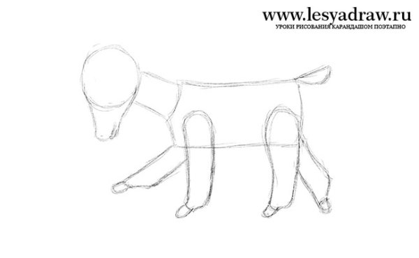 Рисунок козлят для детей карандашом поэтапно