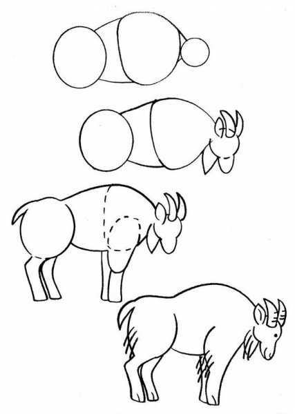 Схемы для поэтапного рисования животных