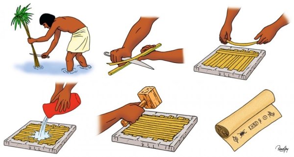 Папайрус набросок