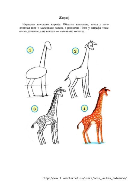 Рисование жирафа