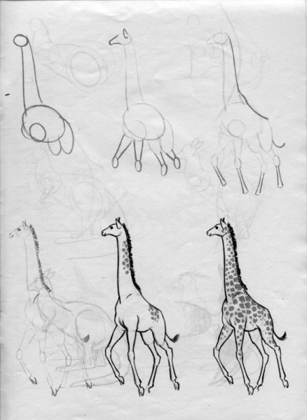 Схема рисования жирафа для детей