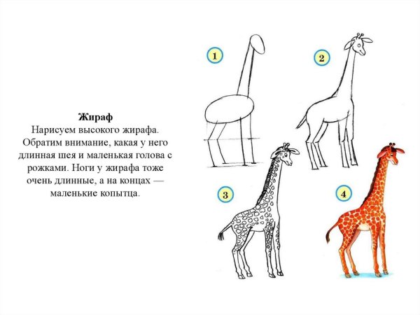 Как нарисовать жирафа