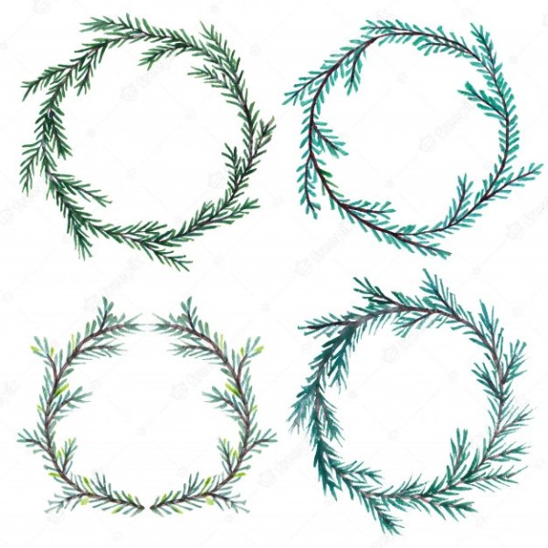 Еловый венок акварель