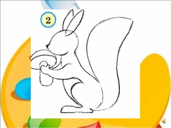 Поэтапное рисование белки в старшей группе