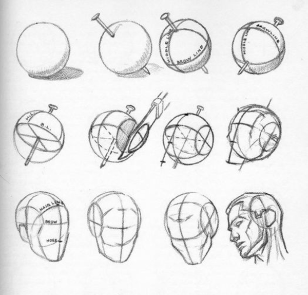 Эндрю Лумис рисование головы