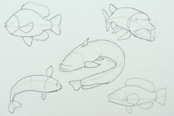 Поэтапное рисование рыбы