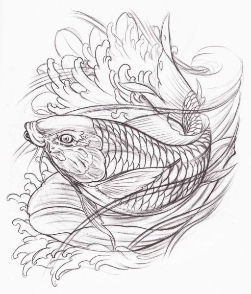 Карп карандашом