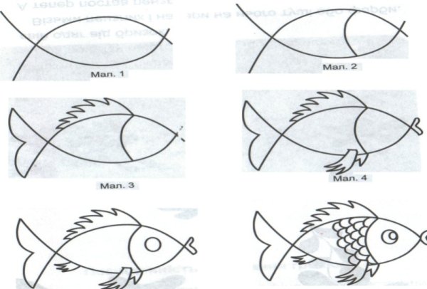 Схема рисования рыб в средней группе
