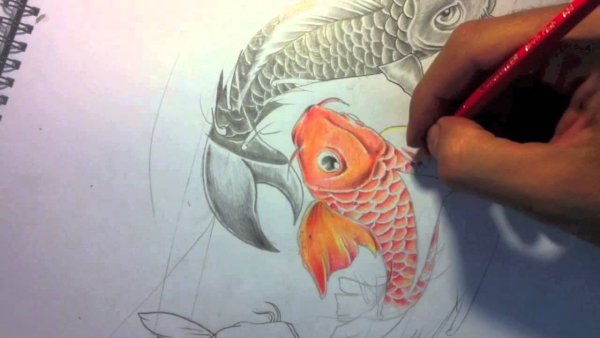 Пошаговое рисование рыбок японских