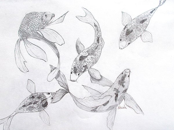 Рыбки кои карандашом