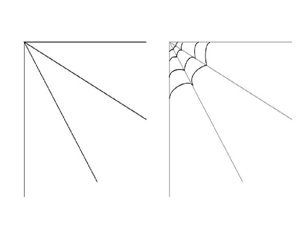 Поэтапное рисование паутины